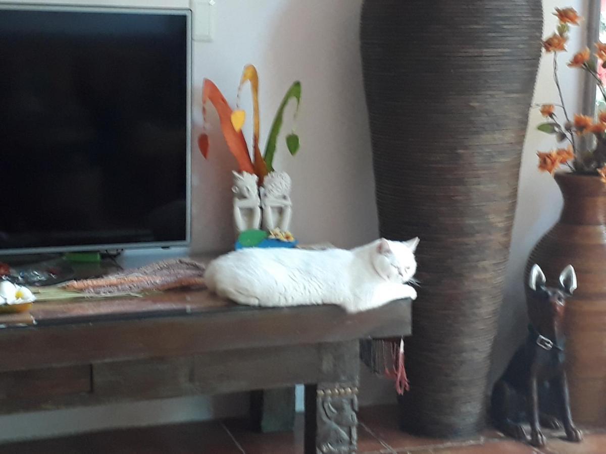 Apartament Bali House Hualian Zewnętrze zdjęcie